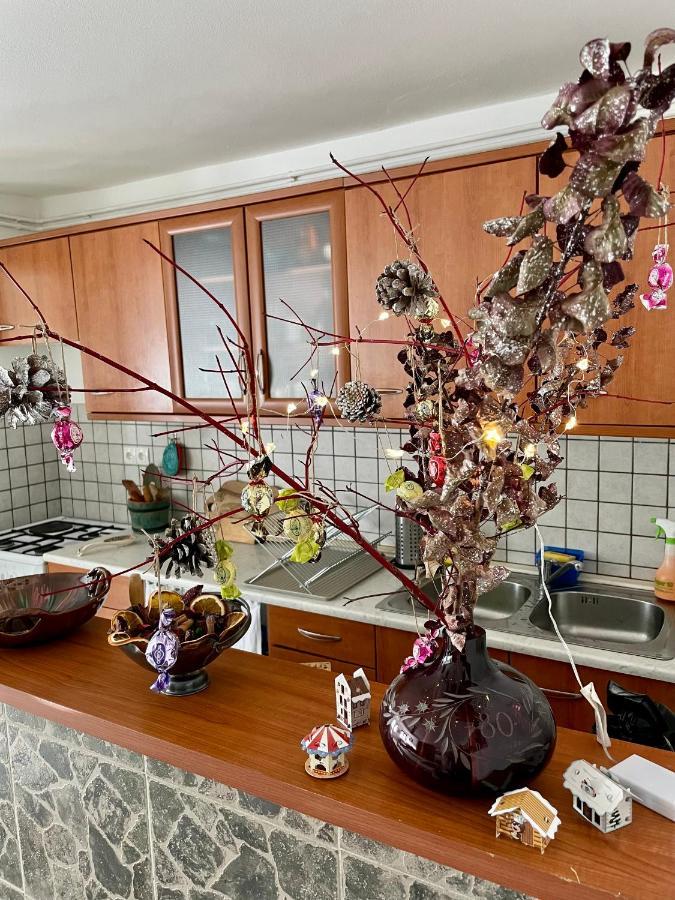 Апартаменты Apartma Pri Soci Бовец Экстерьер фото